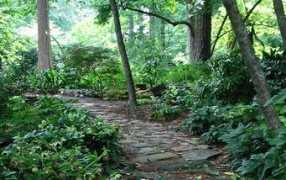 stonethegardener.com Melindas