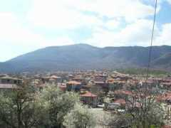 Meliti