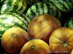 se.dreamstime.com Melnar