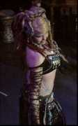 gildedserpent.com Melodia