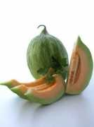 Melon