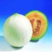 Melon