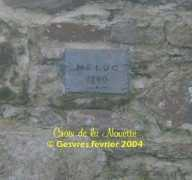 Meluc