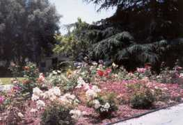 villagegreenla.net Memerson