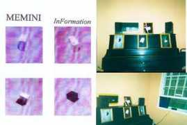 Memini