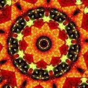 artwanted.com Memoris