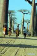 Menabe