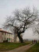 tarmassia.it Menago