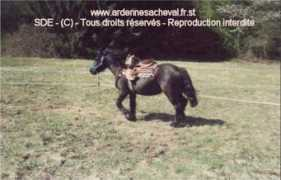 ardennesacheval.free.fr Menais