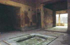 walinscy.civ.pl Menandra