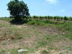 panoramio.com Menant