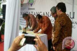 antaranews.com Mendesa