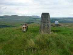 geograph.org.uk Mendick