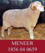 Meneer