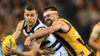 theage.com.au Menegola