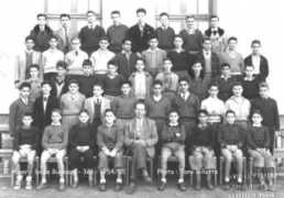 Menevis