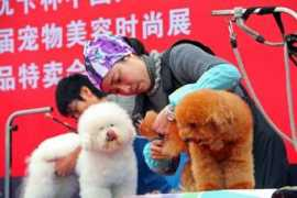 newsgd.com Mengxing