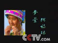 cctv.com Mengying