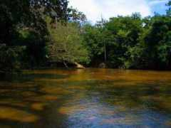 lankadeepa.lk Menika