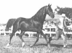 welcomeranch.com Menmar