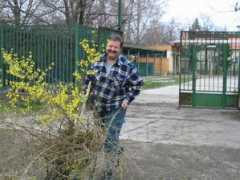 csepel.info Menyhert