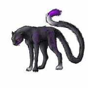 Merai