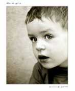 maxartis.it Meraviglia