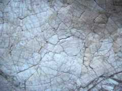 bradchristie.com Merble