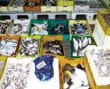 agenziamiramare.com Mercati