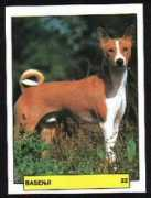 atlasdogs.com Merchante