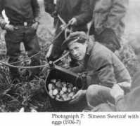 alaskool.org Merculief