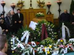 ulloimecenas.hu Merczel