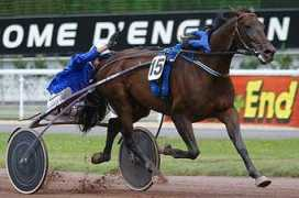le-cheval-bleu.com Merett