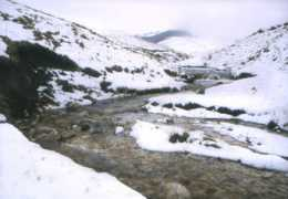 castellucciodinorcia.it Mergani