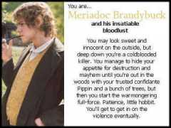 Meriadoc