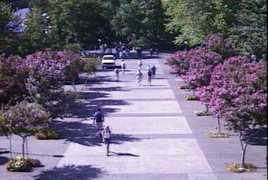 earthcam.com Meriam
