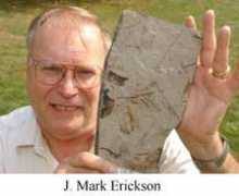 stlawu.edu Merickson