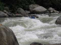 kayakteamturbigo.it Merini