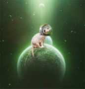photoshopcontest.com Merkat