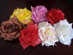 orgsites.com Merleen