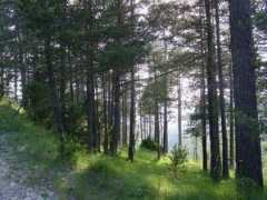 panoramio.com Merolla