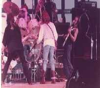 the-aleecat.com Merringer