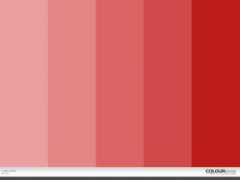 colourlovers.com Mertle