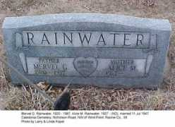 therainwatercollection.com Mervel