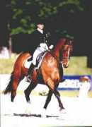 equiworld.net Merveldt