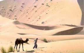 willkern.com Merzouga