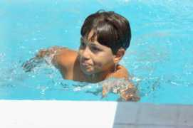 Mesbah