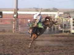 maverickrodeo.com Meschak