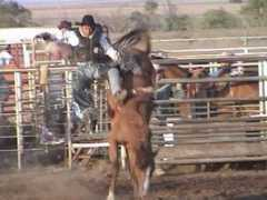 maverickrodeo.com Meschak