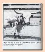 butlertexaslonghorns.com Meschell